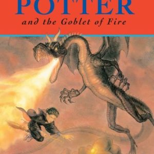 Buy Harry Potter and Goblet of Fire book at low price online in India