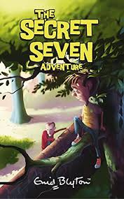 Buy Secret Seven Adventure book at low price in india.