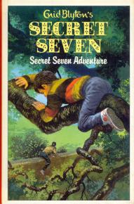 Buy Secret Seven Adventures at low prices online in India