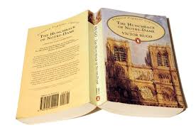 Buy The Hunchback of Notre-Dame book at low price in india.