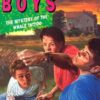 Buy the hardy boys the mystery of whale tattoo book