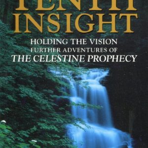 Buy The Tenth Insight book at low price online in India
