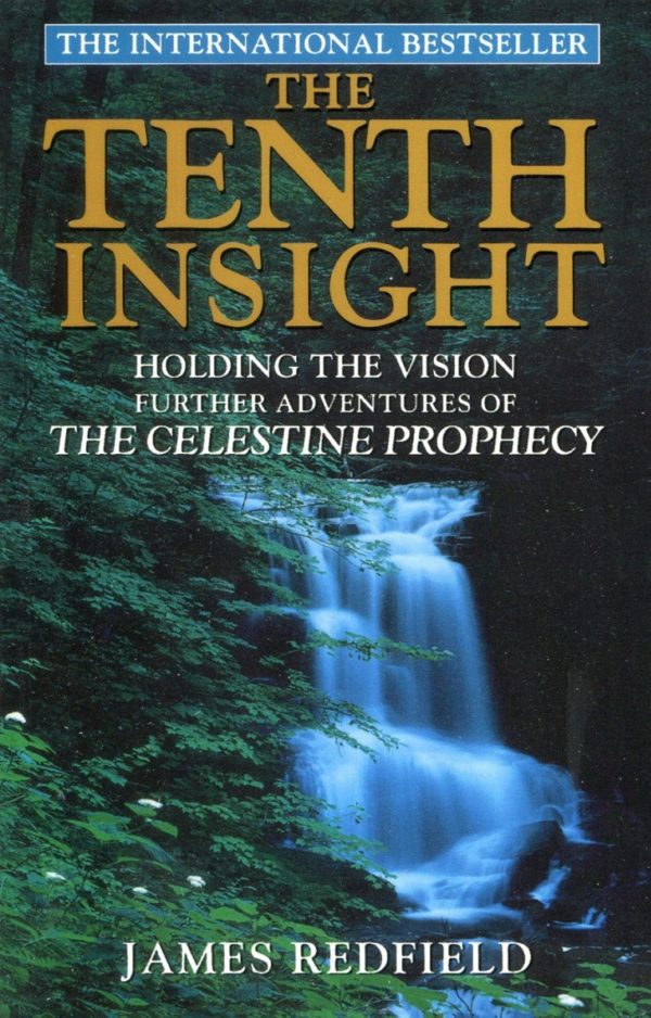 Buy The Tenth Insight book at low price online in India