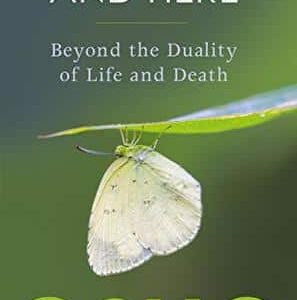 Buy And Now And Here book at low price online in India