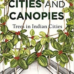 Buy Cities and Canopies Trees in Indian Cities at low price online in India