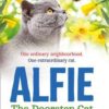 Buy Alfie the Doorstep Cat book at low price online in india