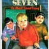 Buy Go Ahead, Secret Seven book at low price online in india