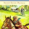 Buy Secret Seven Mystery book at low price online in India