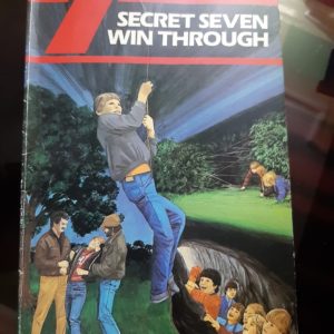 Buy Secret Seven Win Through book at low price online in india