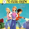 Buy Sleepover Sleuths book at low price online in india