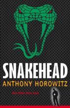 Buy Snakehead book at low price online in India