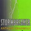 Buy Stormbreaker book at low price online in India