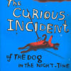 Buy The Curious Incident of the Dog in the Night-Time book at low price online in India