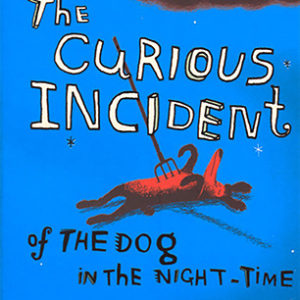 Buy The Curious Incident of the Dog in the Night-Time book at low price online in India