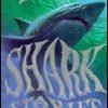 Buy True Shark Stories book at low price online in India