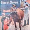 Buy Fun For The Secret Seven book at low price online in India