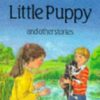 Buy The Brave Little Puppy and Other Stories book at low price online in India