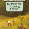 Buy Far From the Madding Crowd book by Thomas hardy at low price online in India