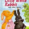 Buy The Little White Rabbit And Other Stories book at low price online in india