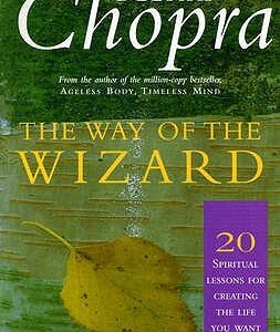 Buy The Way Of The Wizard- 20 Lessons for Living a Magical Life book at low price online in India