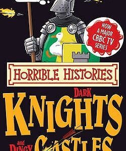 Buy Dark Knights and Dingy Castles book at low price online in India
