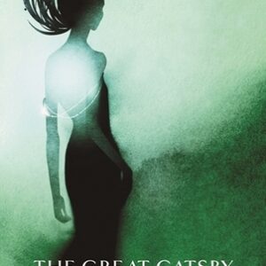 Buy The Great Gatsby book by F Scott Fitzgerald at low price online in India
