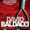 Buy Zero Day book by David Baldacci at low price online in India