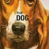 Buy How It Works- The Dog by Jason Hazeley, Joel Morris at low price online in India