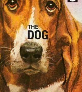 Buy How It Works- The Dog by Jason Hazeley, Joel Morris at low price online in India