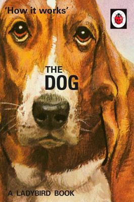 Buy How It Works- The Dog by Jason Hazeley, Joel Morris at low price online in India