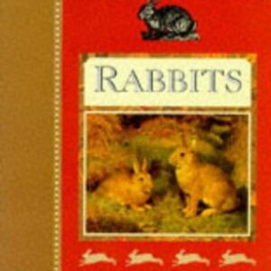 Buy Little Book of Rabbits book at low price online in india