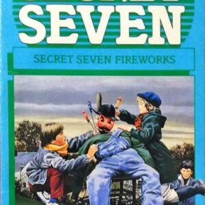 Buy Secret Seven Fireworks book at low price online in india