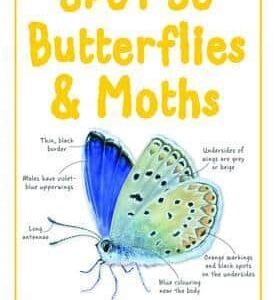 Buy Spot 50 Butterflies & Moths book at low price online in india