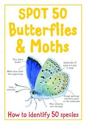 Buy Spot 50 Butterflies & Moths book at low price online in india