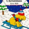 Buy Spot's Magical Christmas book at low price online in india