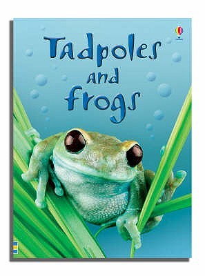 Buy Tadpoles And Frogs book at low price online in india
