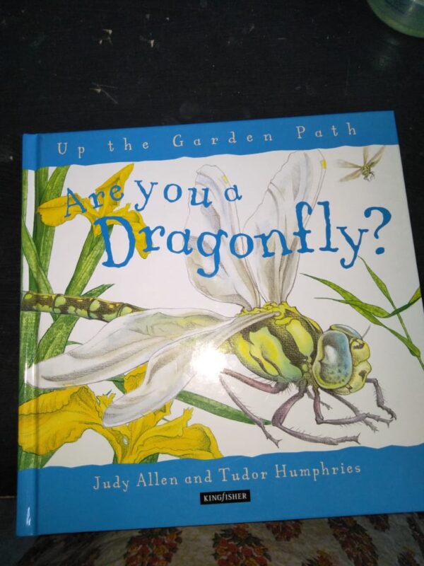 Buy Are You a Dragonfly? book at low price online in india