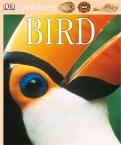 Buy Bird vook at low price online in india