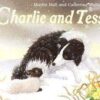 Buy Charlie And Tess book at low price online in india