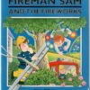Buy Fireman Sam And The Fireworks book at low price online in india