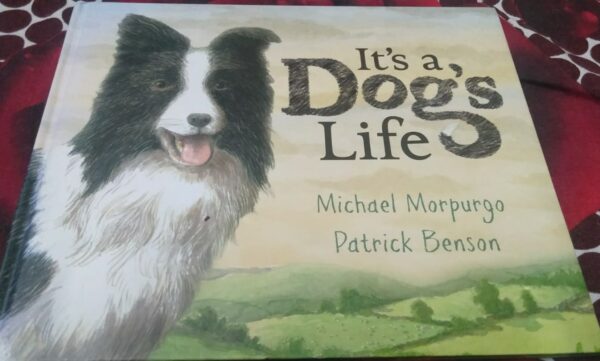 Buy It's a Dog's Life book at low price online in india