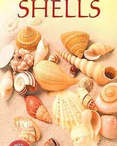 Buy Shells book at low price online in india
