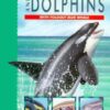 Buy Whales & Dolphins book at low price online in india