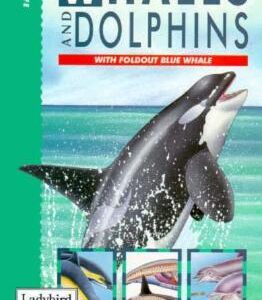 Buy Whales & Dolphins book at low price online in india