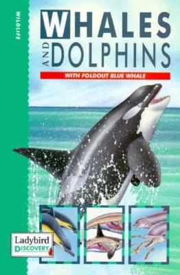 Buy Whales & Dolphins book at low price online in india