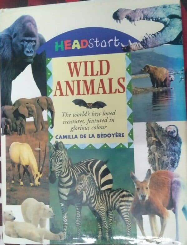 Buy Wild Animals book at low price online in india