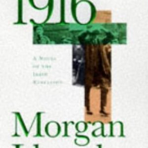 Buy 1916 - A Novel of the Irish Rebellion by Morgan Llywelyn at low price online in India