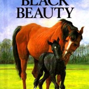 Buy Black Beauty (Adaptation) by Anna Sewell at low price online in India