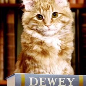 Buy Dewey: The Small-Town Library Cat Who Touched the World book by Vicki Myron at low price online in India