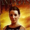 Buy Into the Woods by Virginia Woods at low price online in India